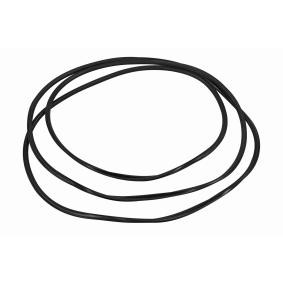 Osta Tiiviste, tuulilasi VAICO:llä V10-3042 edullisesti hintaan 60,62 €