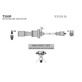 Acquista Kit cavi candele da TESLA T295P a buon mercato per soli 26,47 €