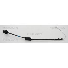 Compre Cabo do acelerador da TRISCAN 8140 43317 a um preço baixo por 14,83 €