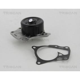 Achetez des Pompe à eau TRISCAN 8600 13042 à prix pour 62,54 €