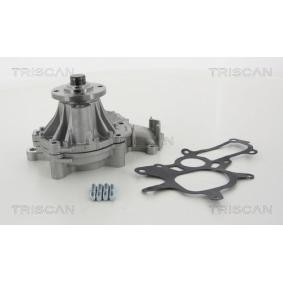 Achetez des Pompe à eau TRISCAN 8600 13045 à prix pour 88,91 €
