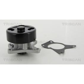 Wasserpumpe von TRISCAN