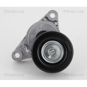 Comprar Polea tensora, correa poli V de TRISCAN 8641 211002 a bajo precio de 61,49 €