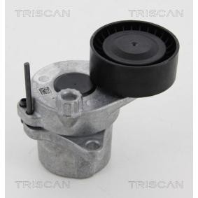 Riemenspanner, Keilrippenriemen des Herstellers TRISCAN - Originalware Artikelnummer: 8641 233022