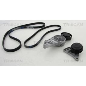 Acquista Kit Cinghie Poly-V da TRISCAN 8642 29016 a buon mercato per soli 163,94 €