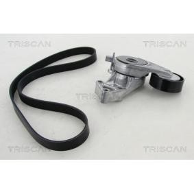 Achetez des Jeu de courroies trapézoïdales à nervures TRISCAN 8642 29017 à prix pour 96,05 €