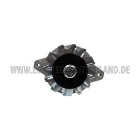 Lichtmaschine von EUROTEC 12060534