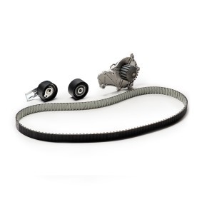 Acquista Kit cinghia distribuzione, pompa acqua da DAYCO KTBWP9590 a buon mercato per soli 107,31 €