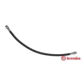 Comprar Latiguillo de freno de BREMBO T 85 081 a bajo precio de 14,78 €