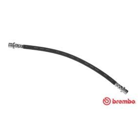 Comprar Latiguillo de freno de BREMBO T 83 116 a bajo precio de 16,41 €