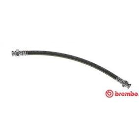 Comprar Latiguillo de freno de BREMBO T 68 065 a bajo precio de 12,11 €