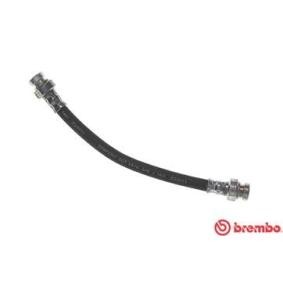 Comprar Latiguillo de freno de BREMBO T 54 048 a bajo precio de 11,16 €