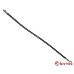 Comprar Latiguillo de freno de BREMBO T 54 039 a bajo precio de 22,67 €