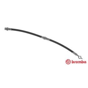 Comprar Latiguillo de freno de BREMBO T 54 034 a bajo precio de 22,13 €