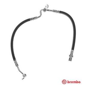 Comprar Latiguillo de freno de BREMBO T 49 058 a bajo precio de 75,62 €