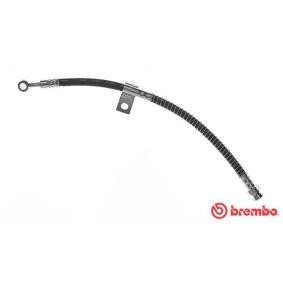 Comprar Latiguillo de freno de BREMBO T 30 017 a bajo precio de 31,58 €