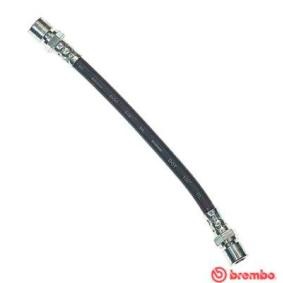 Comprar Latiguillo de freno de BREMBO T 15 010 a bajo precio de 13,83 €