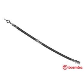 Comprar Latiguillo de freno de BREMBO T 10 005 a bajo precio de 24,37 €