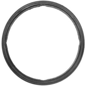 Dichtung, Thermostat von HELLA