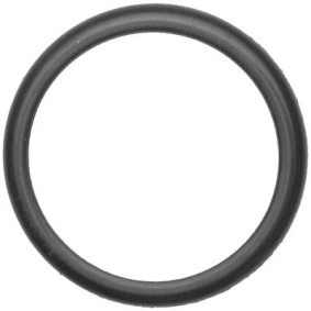 Dichtung, Thermostat von HELLA