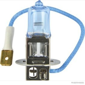 Köp Glödlampa, fjärrstrålkastare av HERTH+BUSS ELPARTS 89901213 till det låga priset 26,18 kr