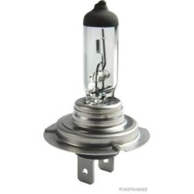 Glühlampe, Hauptscheinwerfer 89901307 für MINI