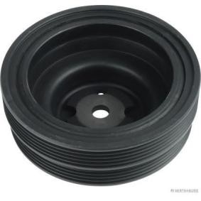 Achetez des Poulie damper (vilebrequin) HERTH+BUSS JAKOPARTS J1095003 à prix pour 53,42 €