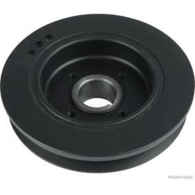 Achetez des Poulie damper (vilebrequin) HERTH+BUSS JAKOPARTS J1095004 à prix pour 119,31 €