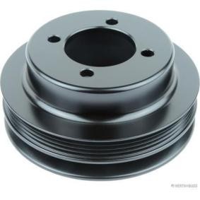 Achetez des Poulie damper (vilebrequin) HERTH+BUSS JAKOPARTS J1095001 à prix pour 84,27 €