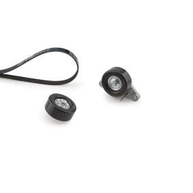 Comprar Juego de correas trapeciales poli V de GATES K096PK1835 a bajo precio de 62,24 €