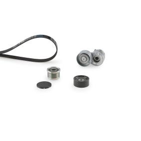 Acquista Kit Cinghie Poly-V da GATES K166PK1795 a buon mercato per soli 161,11 €