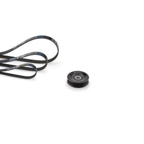 Acquista Kit Cinghie Poly-V da GATES K175PK970 a buon mercato per soli 65,52 €