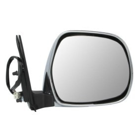 Blinker von BLIC 5403-03-10021P