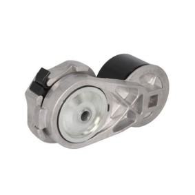 Achetez des Galet tendeur de courroie d'accessoire BTA B05-01-025 à prix pour 37,35 €