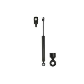 Motorhaubendämpfer von Magnum Technology günstig für 19,39 €
