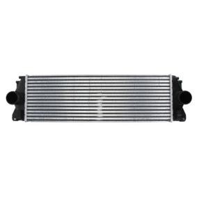 Kjøp Intercooler av THERMOTEC DAM004TT til den lave prisen 1783,83 NOK
