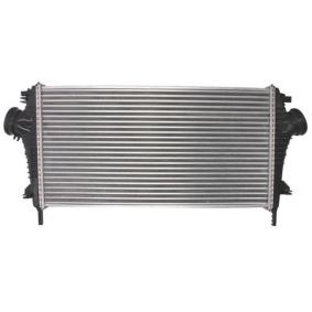 Acquista Intercooler da THERMOTEC DAX004TT a buon mercato per soli 109,46 €