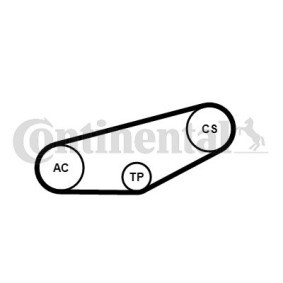 Compre Kit de correa de alternador de CONTITECH online para SUPERB (3U4) a precios moderados