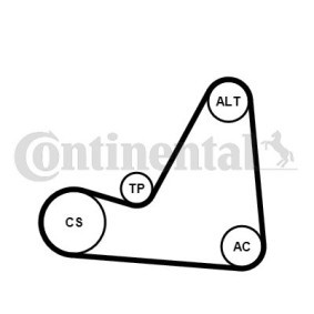 Acquista Kit Cinghie Poly-V da CONTITECH 6PK1070K3 a buon mercato per soli 56,35 €