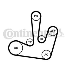 Achetez des Jeu de courroies trapézoïdales à nervures CONTITECH 6PK1795K1 à prix pour 82,67 €