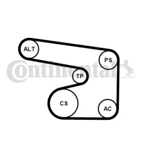 Comprar Juego de correas trapeciales poli V de CONTITECH 6PK1900K1 a bajo precio de 55,28 €