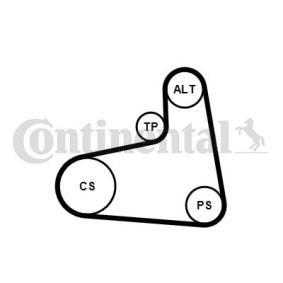Compre Kit de correa de alternador de CONTITECH online para Octavia I Furgón / Familiar (1U5) a precios moderados