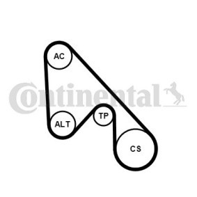 Achetez des Jeu de courroies trapézoïdales à nervures CONTITECH 5PK1145K1 à prix pour 48,11 €