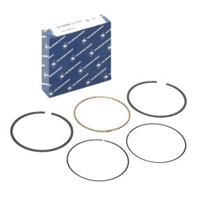 Acquista Kit fasce elastiche da KOLBENSCHMIDT 800021210050 a buon mercato per soli 16,31 €