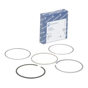 Acquista Kit fasce elastiche da KOLBENSCHMIDT 800049110000 a buon mercato per soli 17,58 €