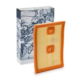 Compre Filtro de ar da VAICO V10-3137 a um preço baixo por 10,86 €