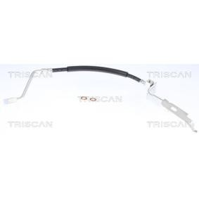 Achetez des Flexible de frein de chez TRISCAN en ligne pour CARAVAN (RG_) à prix modérés