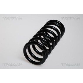 Compre Molas de lâminas da TRISCAN 8765 43002 a um preço baixo por 427,14 €