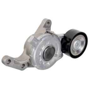 Gleitschiene, Steuerkette 60 93 8184 RENAULT von SWAG
