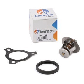 Achetez des Thermostat d'eau CALORSTAT by Vernet TH5077.88J à prix pour 19,49 €